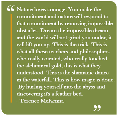 mckenna-quote